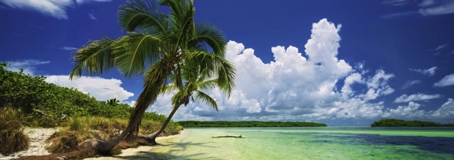 Tropical paradise beach theme