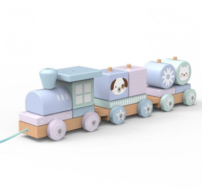 Pastel Animal Wooden Train Blocks