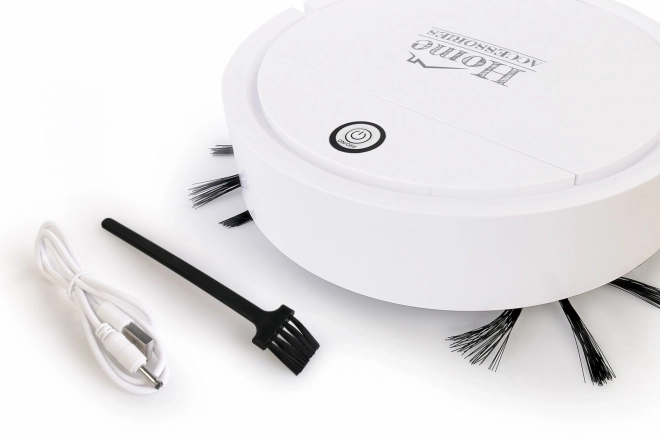 Robot vacuum cleaner Home