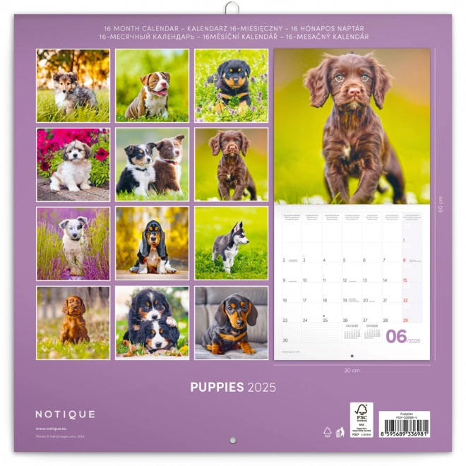 Puppies Wall Calendar 2025