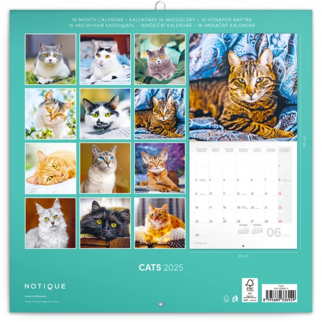 Notique Cat Lovers Monthly Calendar 2025