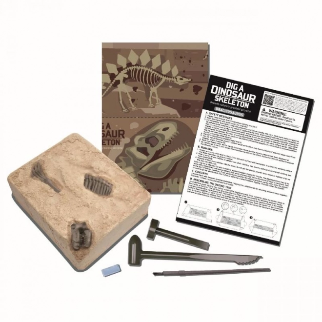 4M Dinosaur Skeleton Excavation Set - Brachiosaurus