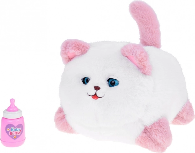 Interactive Cat Pusia