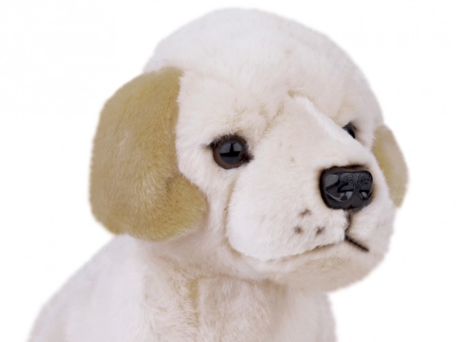 Plush Labrador Dog Soft Toy