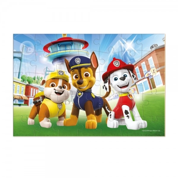 Paw Patrol Mini Puzzle 35 Pieces in Box