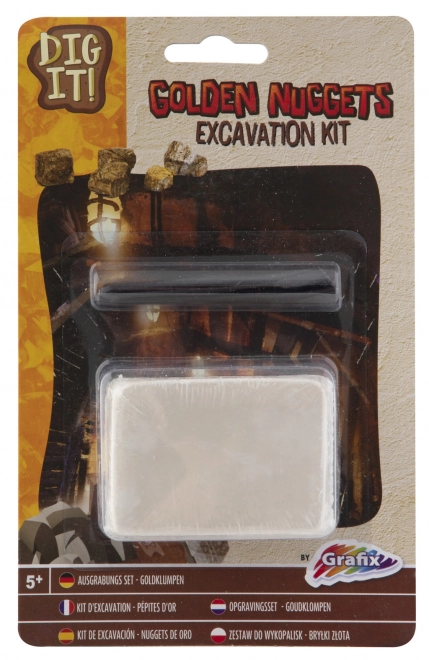 Excavation Fossils Discovery Kit