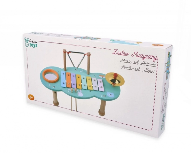 Musical Activity Table