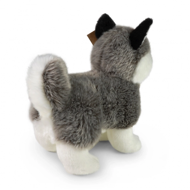 Eco-Friendly Plush Husky Dog