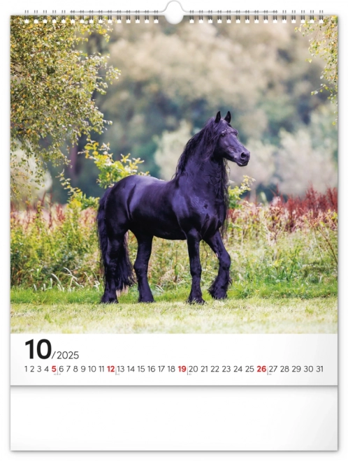 Wall Calendar Horses 2025