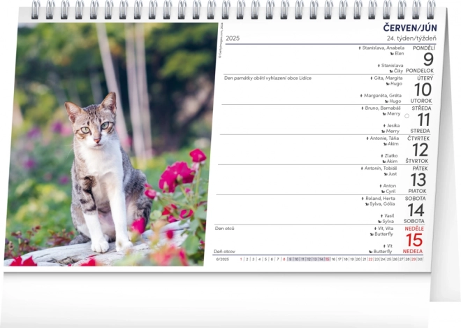 Desk Calendar Cats 2025 in CZ/SK