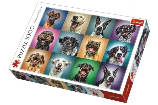 Funny Dog Portraits Jigsaw Puzzle 1000 Pieces