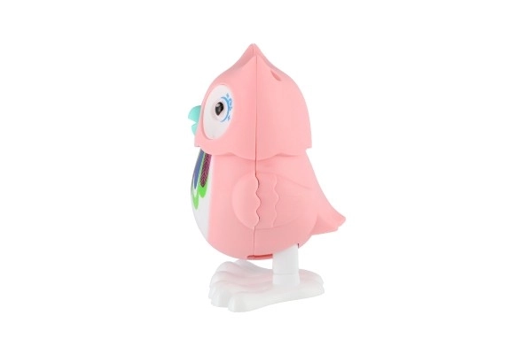 Colorful Wind-Up Owl Toy