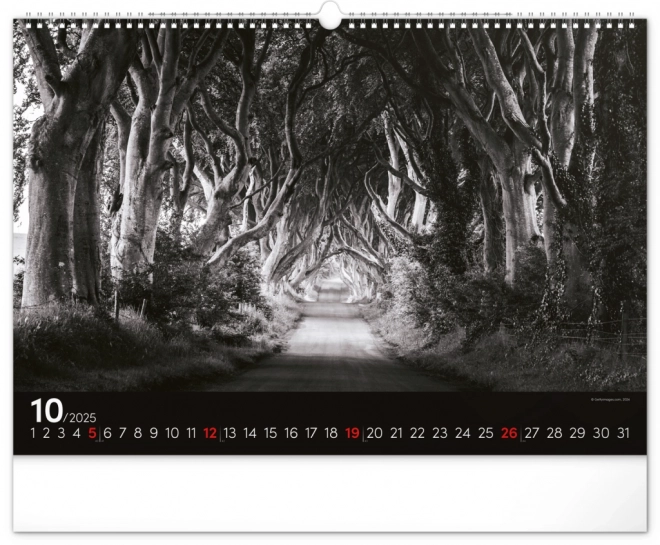 Notique wall calendar dreamy landscape 2025