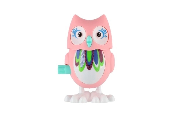 Colorful Wind-Up Owl Toy