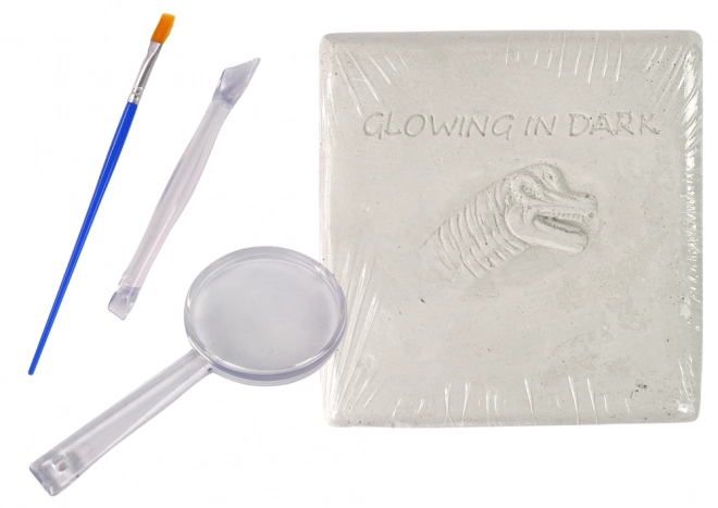 Dinosaur Excavation Kit 3D Skeleton Brachiosaurus