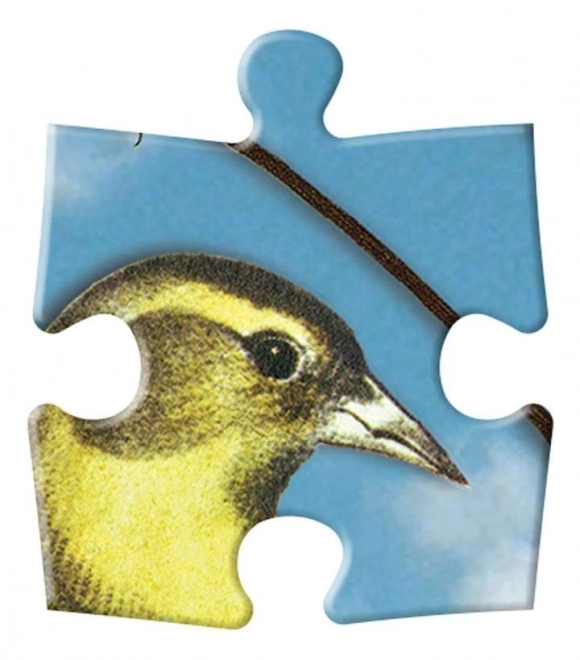 Christian Lacroix Bird Symphony Double-Sided Puzzle