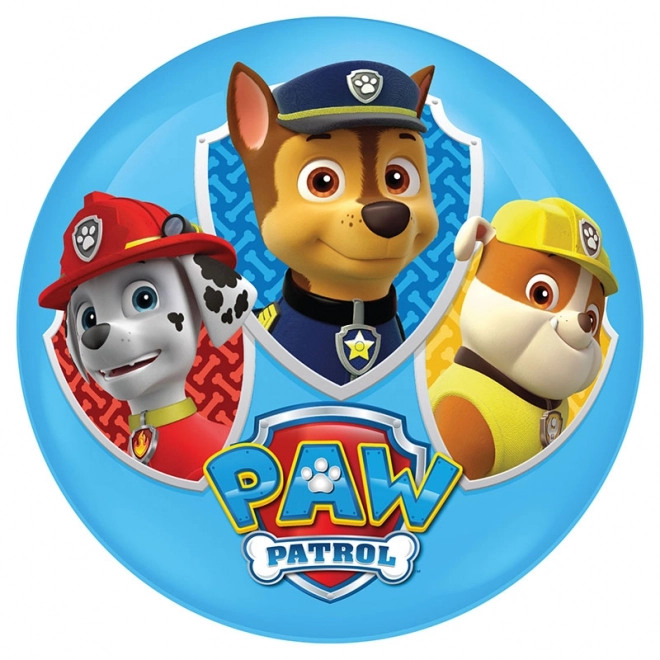 Light-Up Paw Patrol Ball