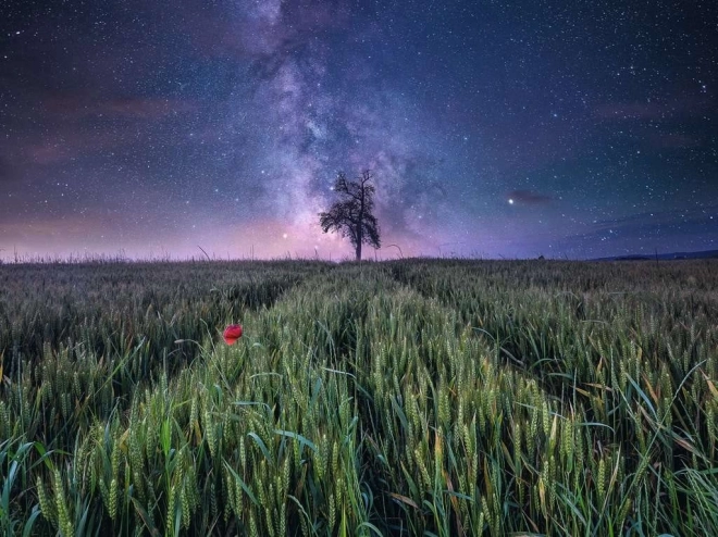 Power of Nature
