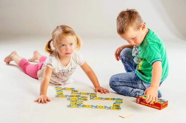 Domino My First Animals Wooden Game