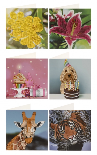 Stone Painting Diamond Cards 2 pcs 13x13 cm