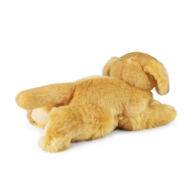 Eco-Friendly Plush Retriever 30 cm