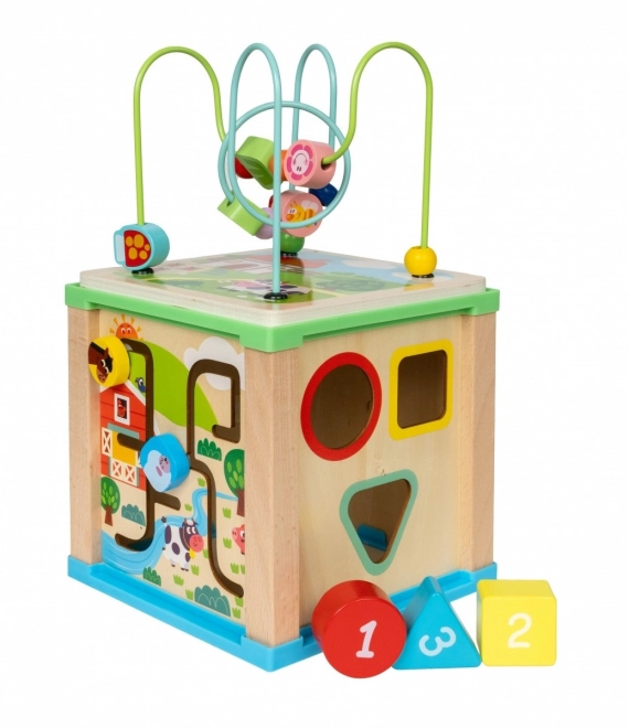 Wooden Activity Cube