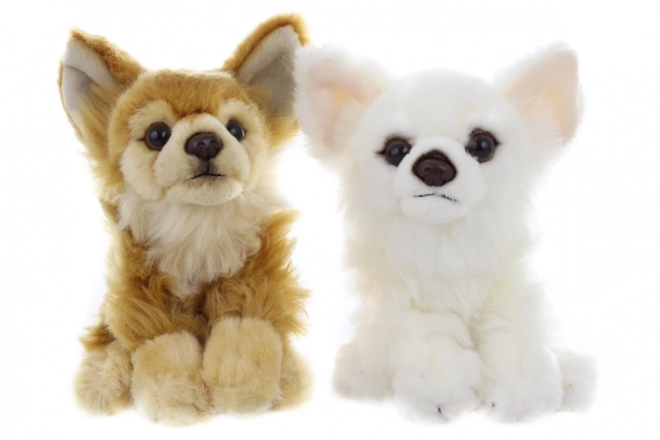 Plush Chihuahua Toy