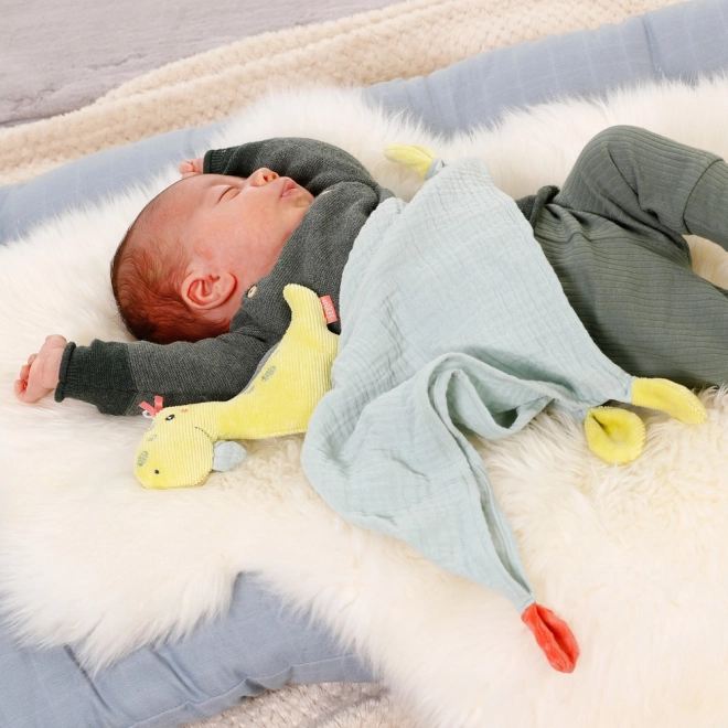 Dinosaur Sleep Soft Toy