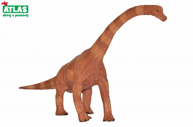 Dinosaur Brachiosaurus Figurine 30 cm