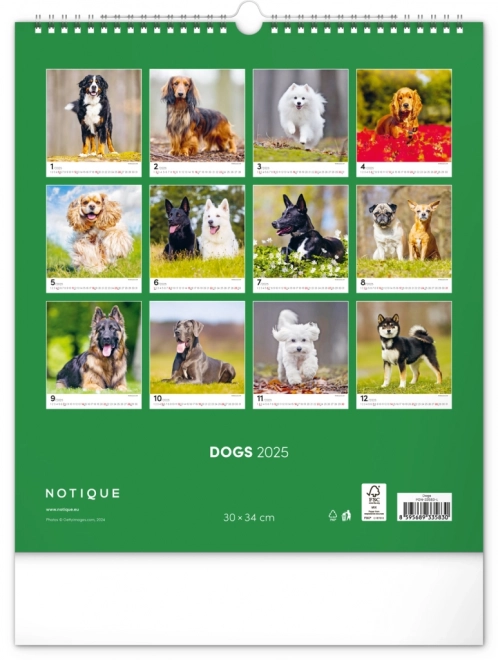 Notique Wall Calendar Dogs 2025