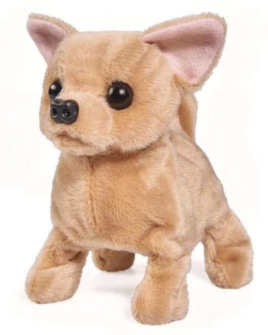 Chihuahua Puppy Toy