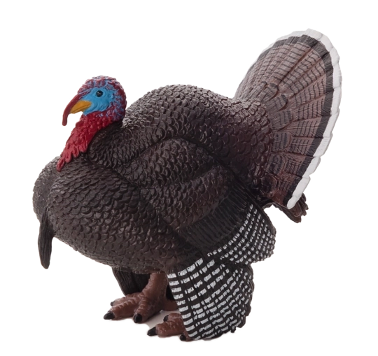 Realistic Turkey Figure