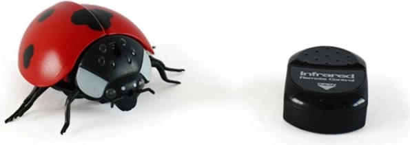 Magana Remote-Control Ladybug