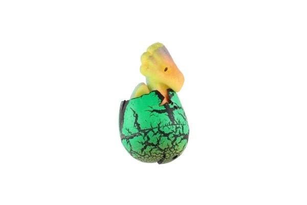 Hatching and Growing Dragon Egg Toy