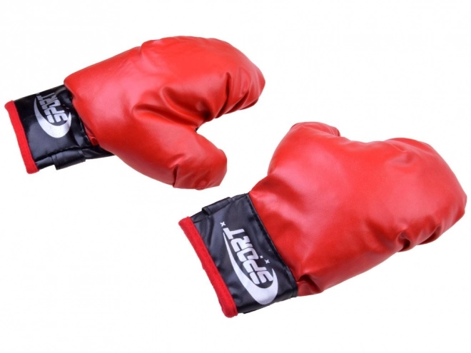 Boxing Set Gloves and Punch Bag