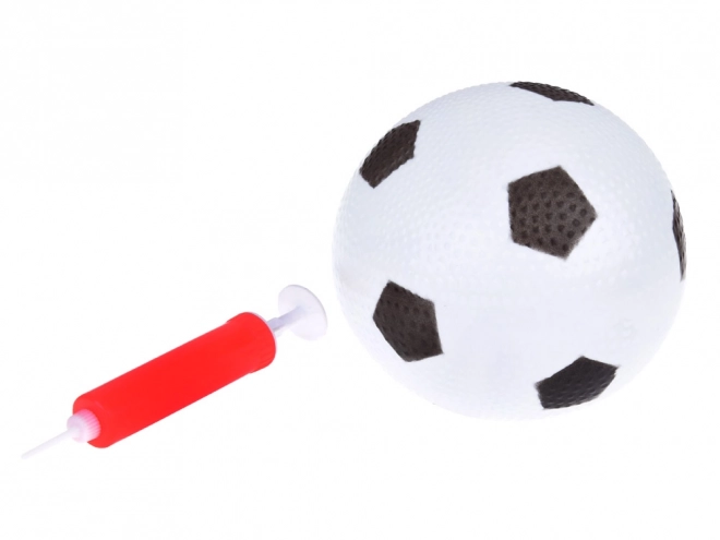 Children's Soccer Goal Set with Ball and Cones