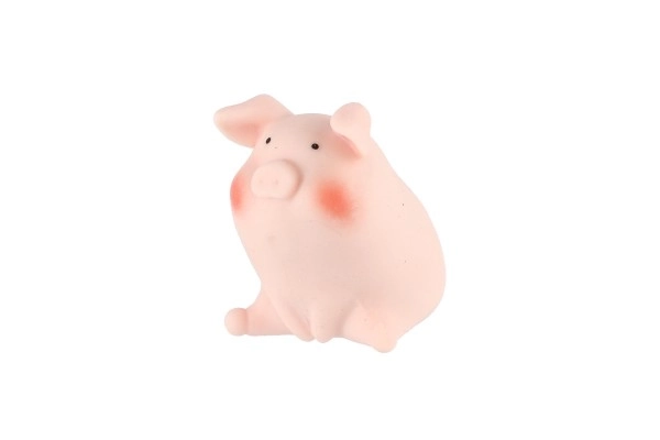 Anti-Stress Silicone Squeeze Pig