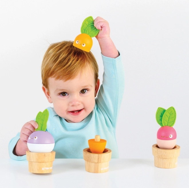 Le Toy Van vegetable garden set