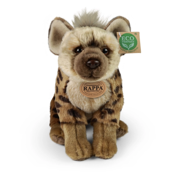 Exclusive RAPPA collection