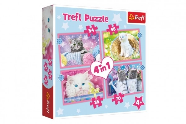 Funny Cats Puzzle 4-in-1