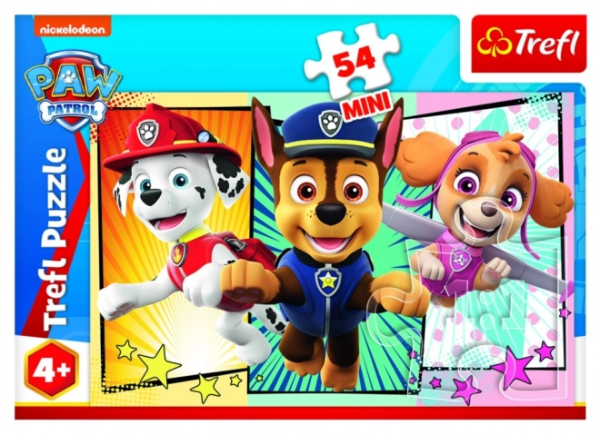 Paw Patrol Mini Puzzle Box