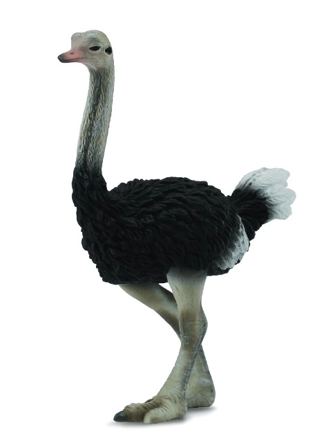 CollectA Ostrich Figure