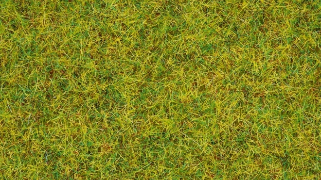 Statična trava Poletni Travnik 2,5 mm