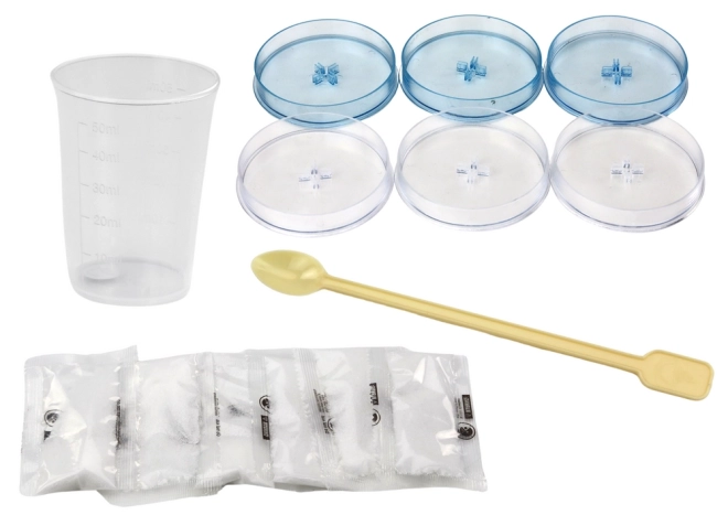 Educational Kit for Growing Crystal Trees