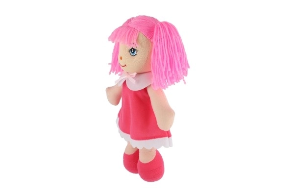 Rag Doll with Pink Hair