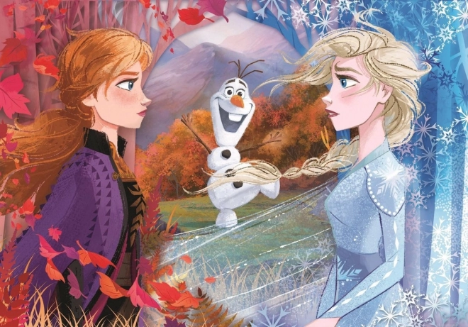 Frozen 2: Princesses and General Puzzle by Clementoni