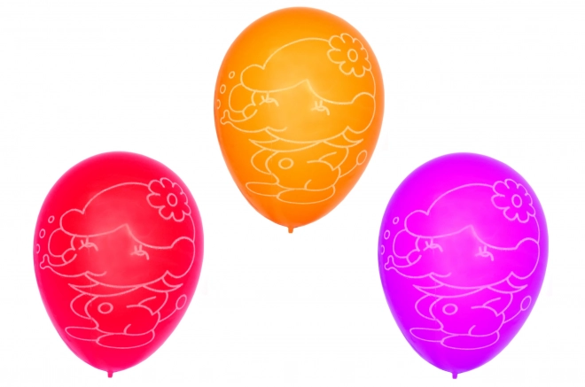 Inflatable Balloon Set with Print