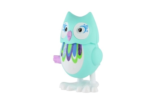 Colorful Wind-Up Owl Toy