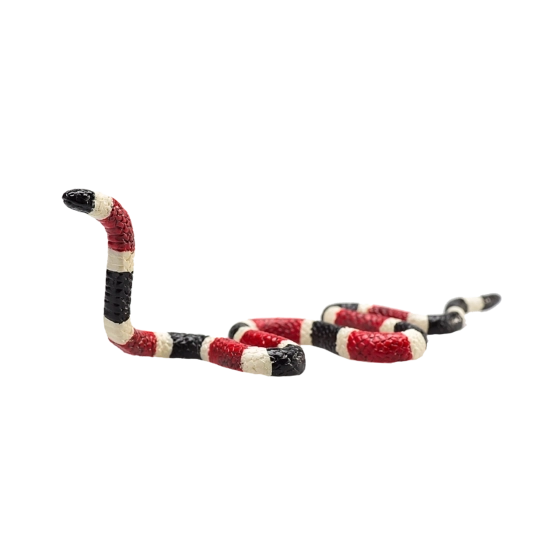 Realistic Coral Snake Figurine