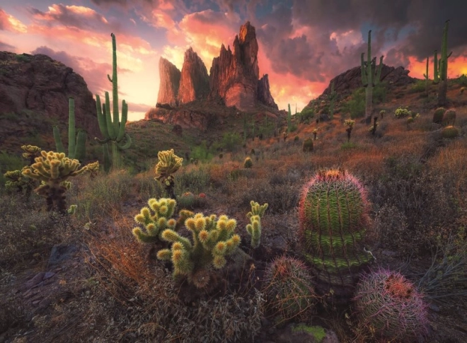 Ravensburger Puzzle Cacti at Dusk 500 Pieces
